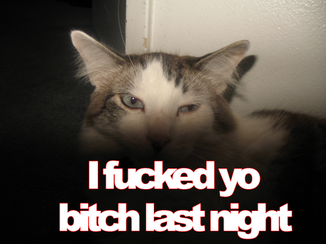 YO Bitch.jpg (233 KB)